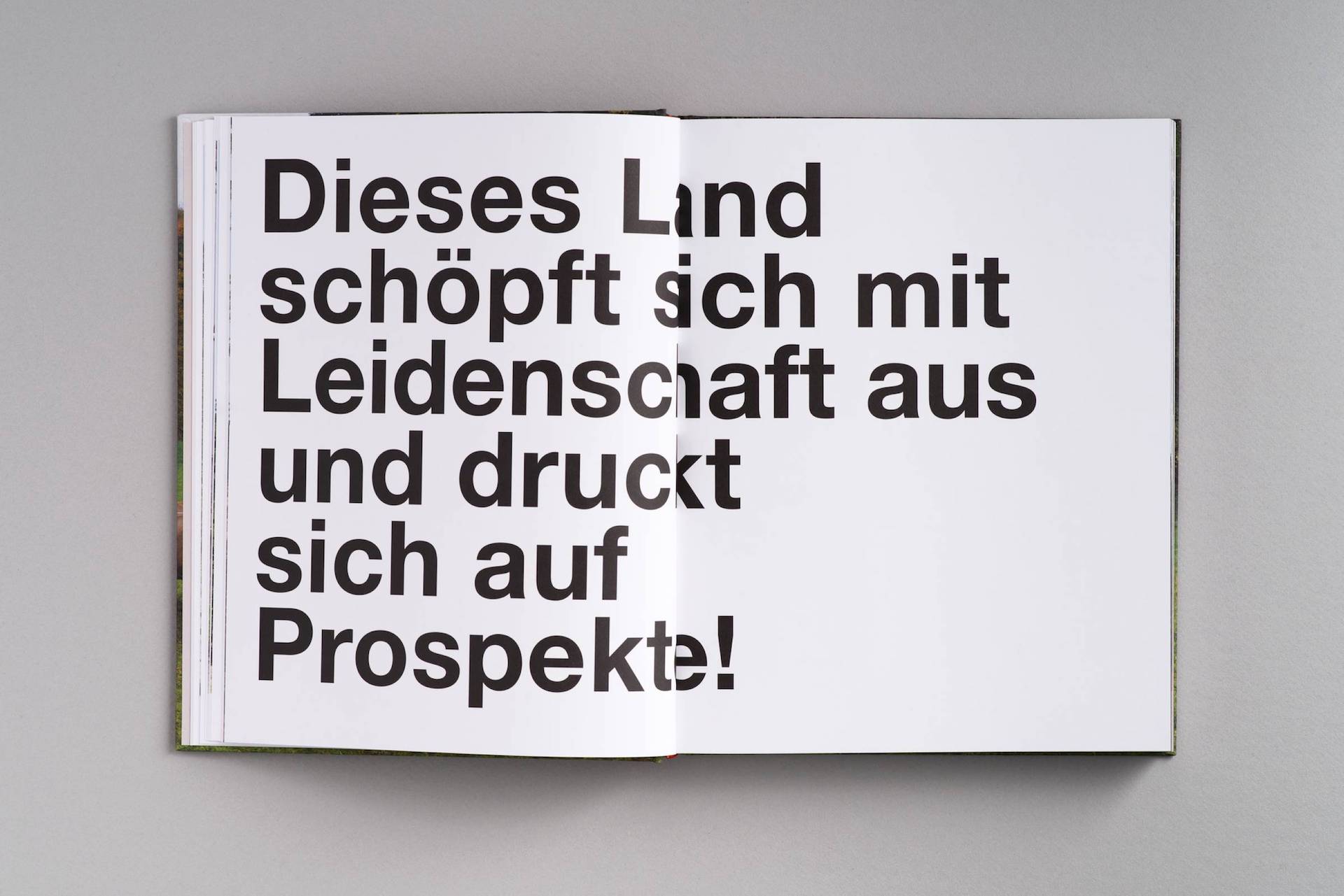 Referenz Publikation TRAFO: Die Untoten von Neuberg, Styria Verlag © Arlene Jobbes